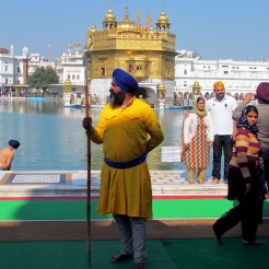 Una guardia Sikh del Tempio d'Oro di Amritsar, nel Punjab indiano. Il Tempio d'Oro  il luogo pi sacro per la religione Sikh. ANSA/Mimmo Torrese
